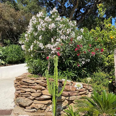 Petit Coin De Paradis *